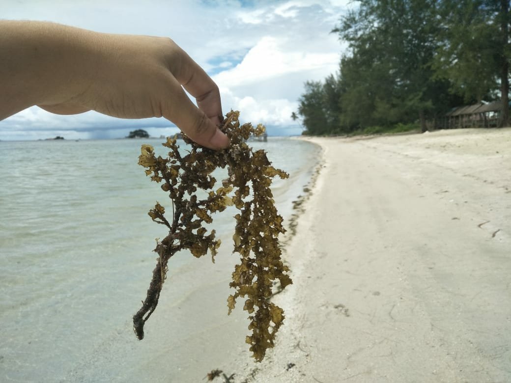 Dosen Teknik UMRAH Gelar Pelatihan Technoprenuership Masyarakat Pesisir