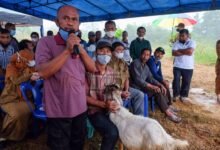 Rahma Serahkan Bantuan Kambing dan Asuransi Usaha Ternak Sapi