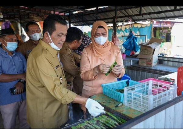 Ansar Ahmad Bakal Sulap Sei Enam Jadi Kampung Wisata