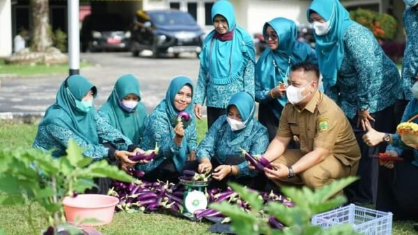 Ketua PKK Lingga Panen Terong