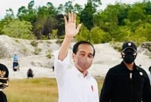Presiden Jokowi Tanam Pohon di Area Bekas Tambang