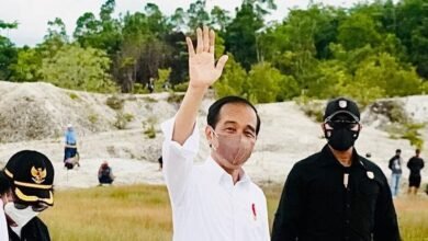 Presiden Jokowi Tanam Pohon di Area Bekas Tambang