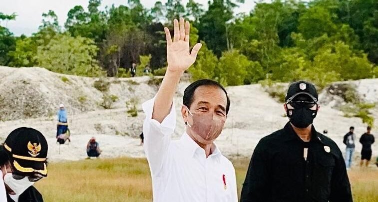 Presiden Jokowi Tanam Pohon di Area Bekas Tambang