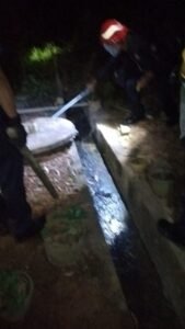 Evakuasi Ular Kobra Jawa di Perumahan Cendrawasih Residence