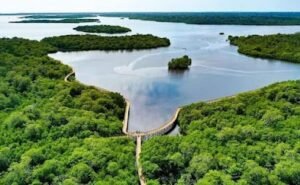 Taman Wisata Baru Mangrove Yang Terletak di Kawasan Pering Kelurahan Bandarsah Kabupaten Natuna Provinsi Kepri