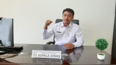 Terkait Perbaikan Signal Palmatak, Japrizal Kami Terus Gesa Telkomsel