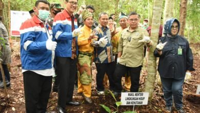 Wamen LHK Apresiasi Program Mitigasi Karhutla Kampung Gambut Berdikari