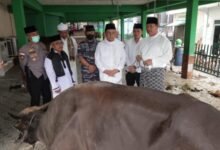 Gubernur Kepri Serahkan Hewan Kurban dari Presiden RI Joko Widodo