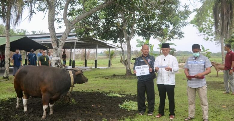 Danlanud RSA Serahkan Hewan Kurban Kasau ke Panitia Kurban Idul Adha 1443 H Lanud RSA