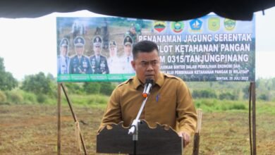 Kabupaten Bintan Bersinergi Bersama TNI Kuatkan Ketahanan Pangan