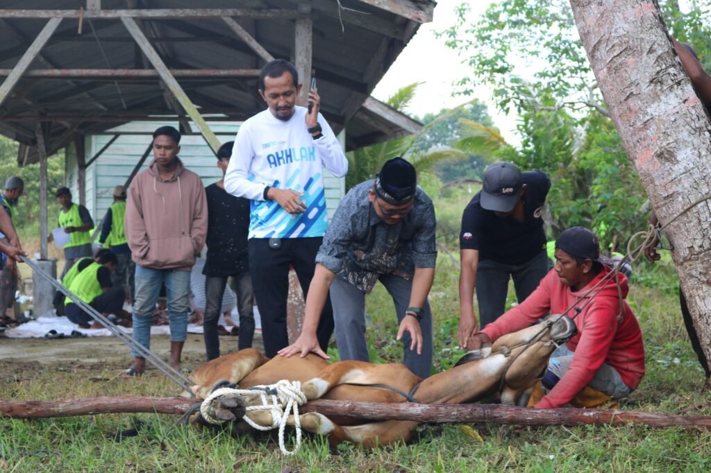 Detik-detik penyembelihan hewan kurban bersama EGM dan warga sekitar