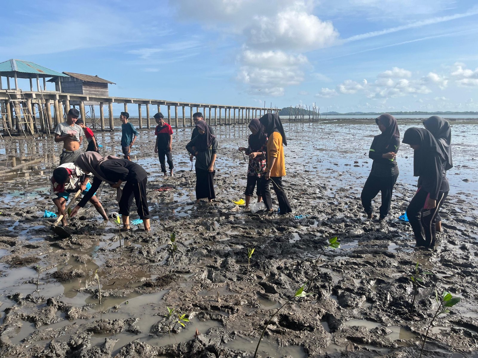 Aksi Restorasi Penanaman Pohon Mangrove
