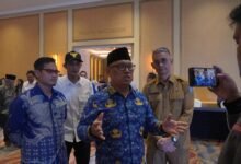 Wakil Gubernur Kepri, Nyanyang Haris Pratamura