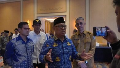 Wakil Gubernur Kepri, Nyanyang Haris Pratamura