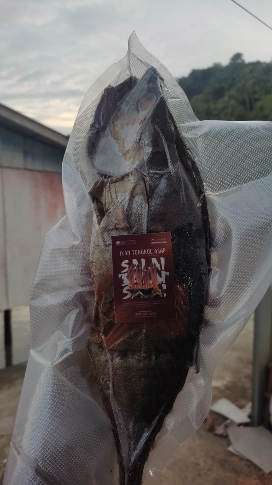 Ikan Tongkol Asap Anambas