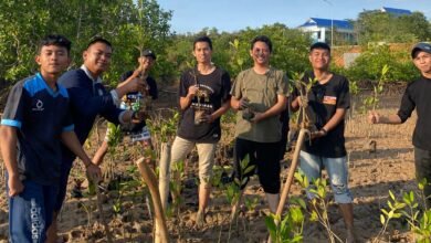 HMI Tanjungpinang-Bintan Tanam 2000 Bibit Mangrove, Usung Misi Mangrove Untuk Keberlanjutan