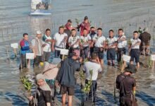 UMRAH Kolaborasi Tanam Bibit Bakau: "Restoring Land, Restoring Hope!"