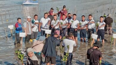 UMRAH Kolaborasi Tanam Bibit Bakau: "Restoring Land, Restoring Hope!"